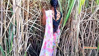 Desi Teens Have Outdoor Fun With Aunty In Sugarcane Field