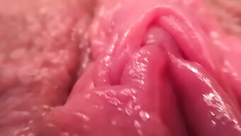 Close-Up Of Orgasmic Pleasure With Sex Toy