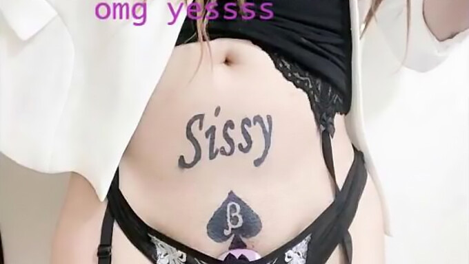 Soddisfa le tue voglie di sissy con questa compilation di cazzi grossi e pompini