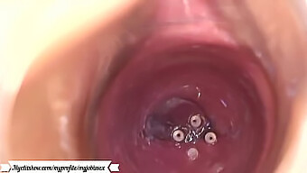 Intercourse Captured Within The Vagina