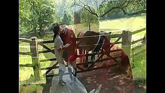 Jeune Star De L'Équitation Harmony En Action Dans La Scène 4