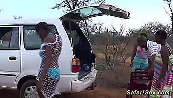 Trio Intense En Plein Air Avec Des Beautés Ébènes Dans La Savane